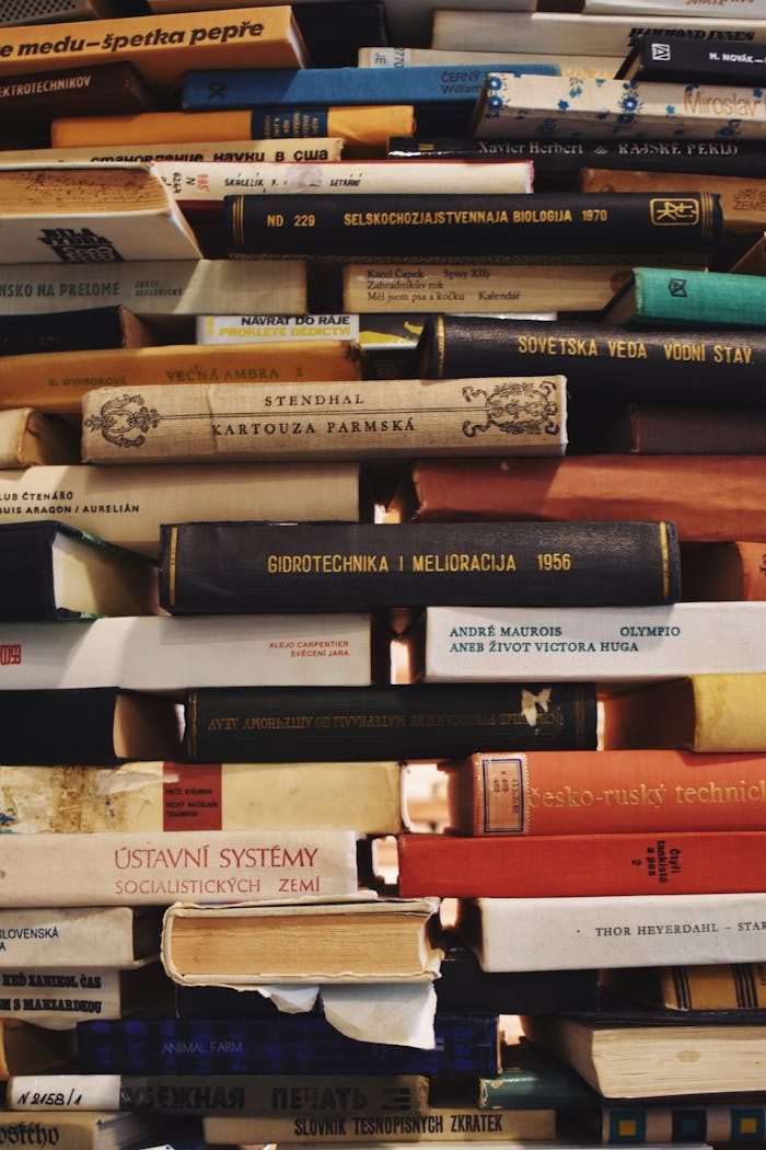 A collection of vintage books in different languages stacked on shelves, evoking a sense of history.