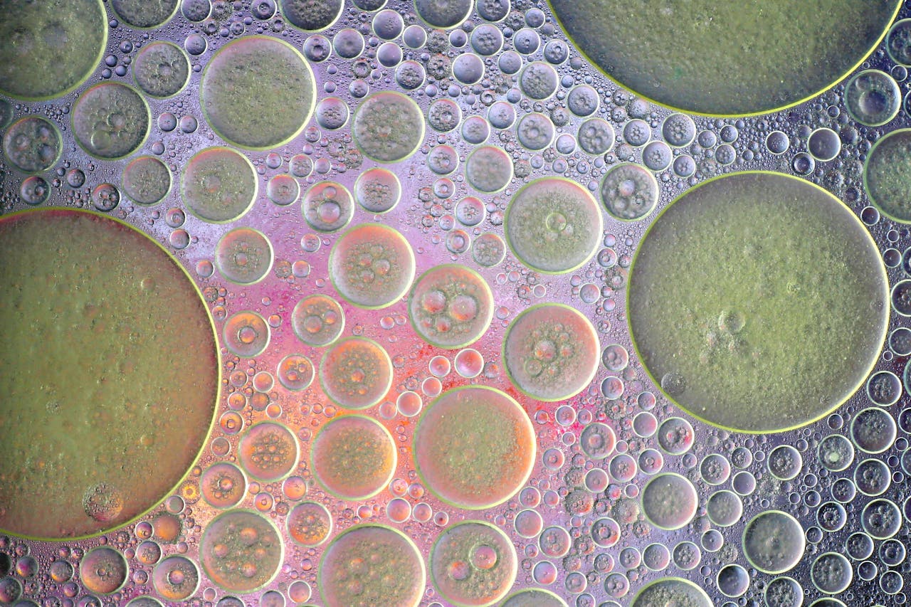 Abstract close-up of colorful oil and water bubbles creating a unique pattern.