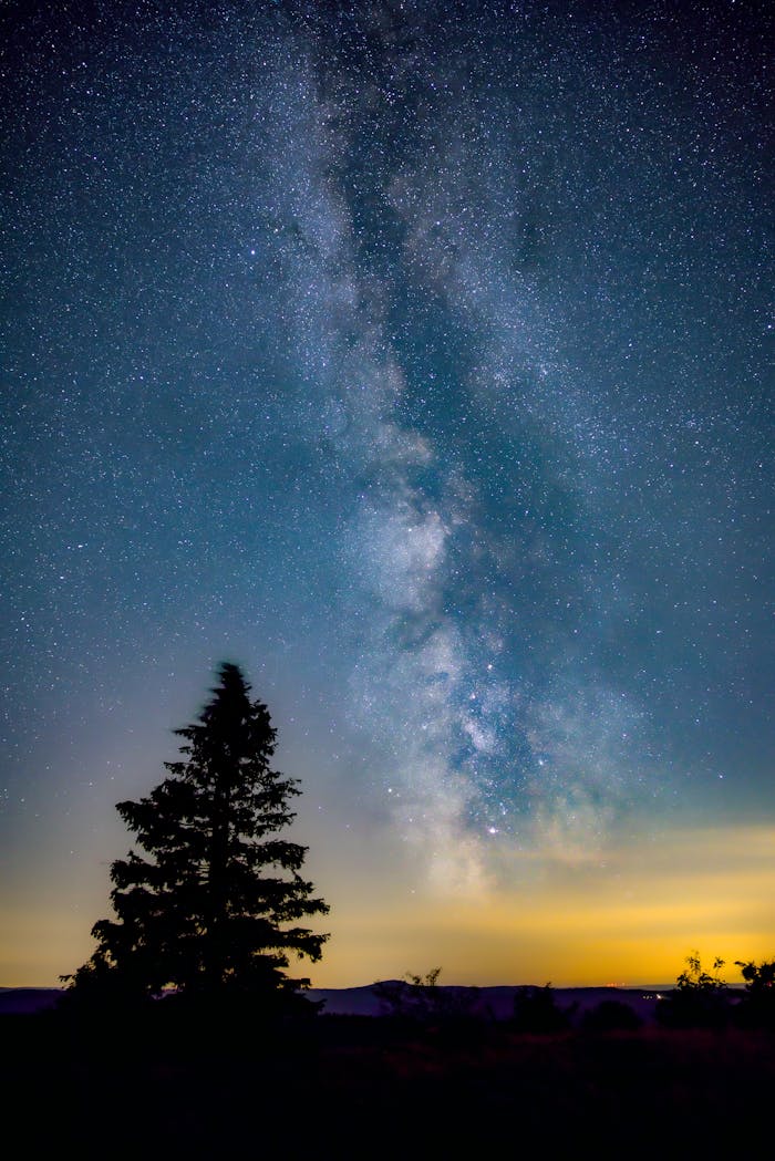 Breathtaking view of the Milky Way galaxy with a silhouetted tree, captured at twilight.